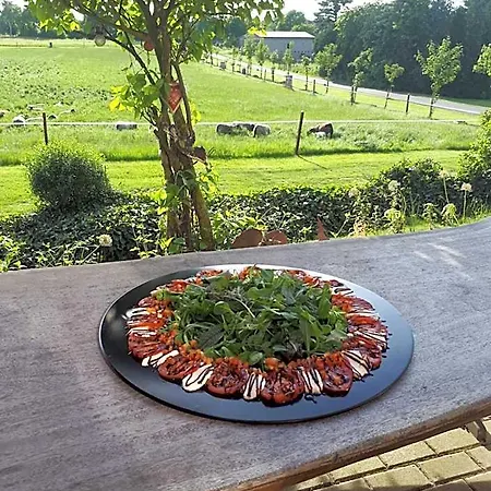 Hof-schlenstedt Hotel